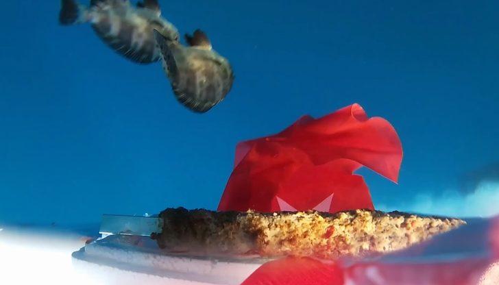 Sonunda bu da oldu! Adanalı kebapçı uzaya boru kebabı göndermeyi denedi G2