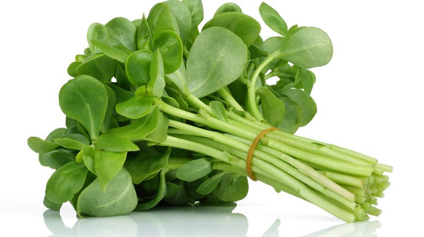 Omega-3 açısından zengin tek bitki! Yaşlanmayı geciktirir, kronik hastalıklara karşı korur...