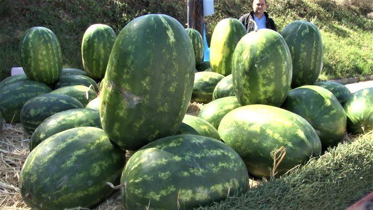 Seyyar satıcının yöntemi şaşırttı! Bu da IBAN'lı karpuz satışı G3