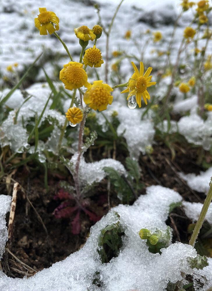 Kapadokya’da nisan karı sürprizi! Turistler şaşırdı: Aslında beklemiyorduk G2