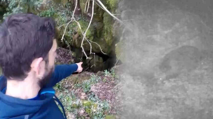 Fotokapanla görüntülendi! Ölümden döndüler: İnanılmaz büyüktü