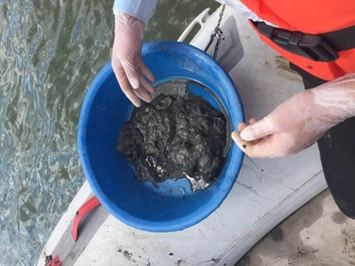 Marmara Denizi'nde, toksik tehlikesi G2