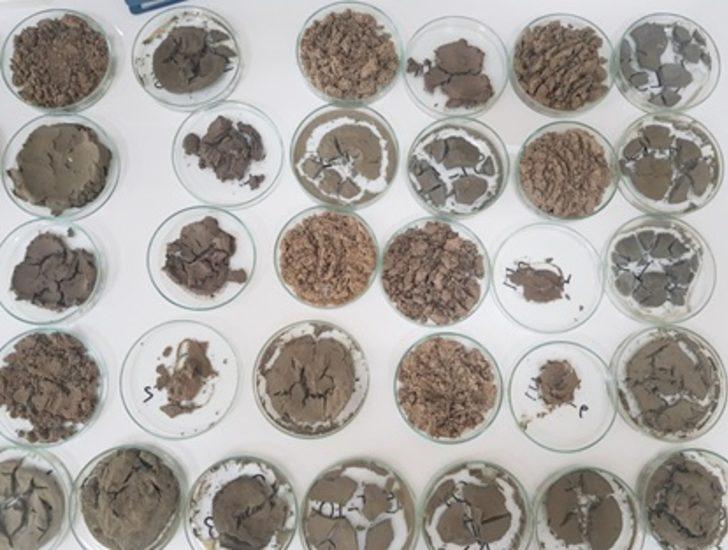 Marmara Denizi'nde, toksik tehlikesi G3