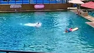 Öfkeli yunus balığı yürekleri ağza getirdi! Herkesin bakışları arasında eğitmenine saldırdı