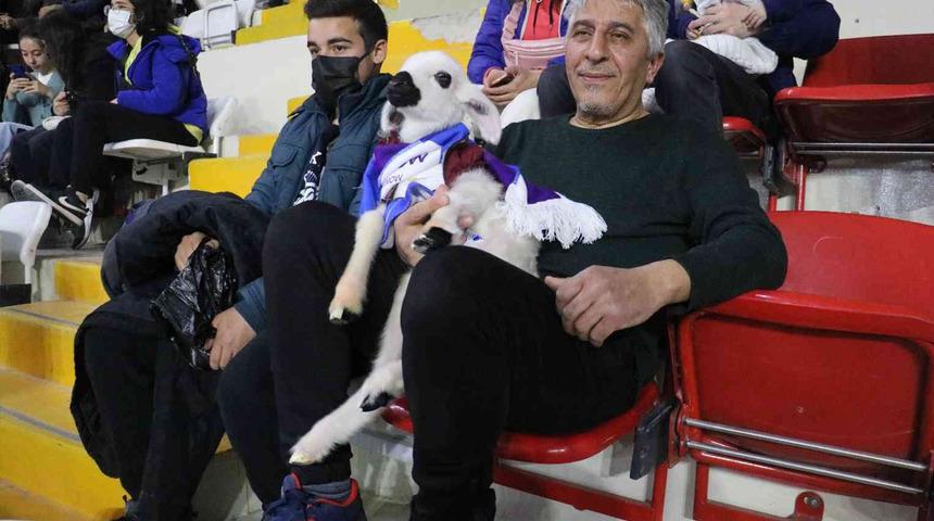 Final maçını kuzusuyla birlikte izledi