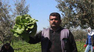 Tarladan 2 liraya çıkıyor! Markette 10 liraya satılıyor