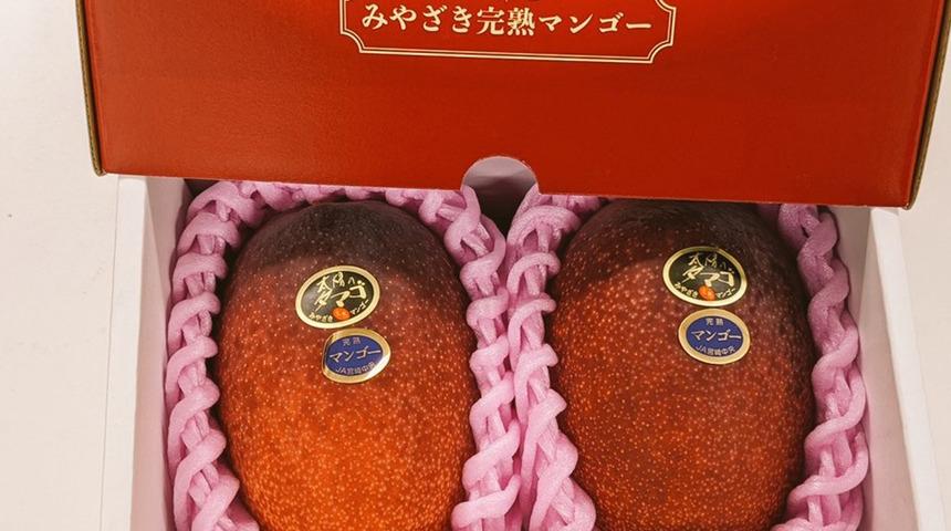 Kıyasıya yarıştılar! Mangolar dudak uçuklatan fiyata satıldı