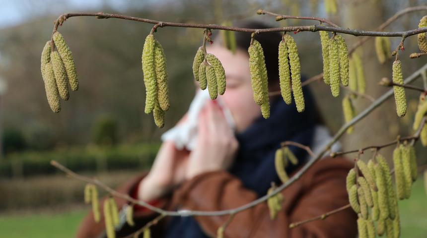 Bahar ayları kabusa dönmesin! Polen alerjisi kapıda
