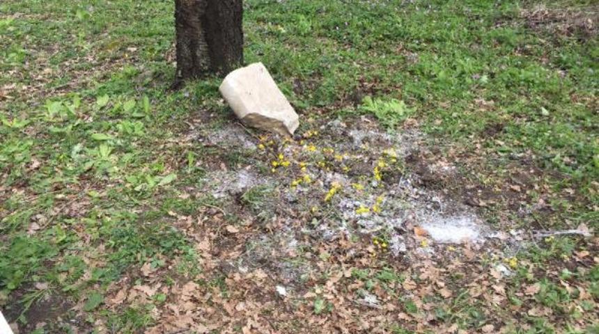 Bebek gömdükleri zannedildi, kadınların mezarlıkta başında dua ettikleri çukurdan kedi ölüsü çıktı