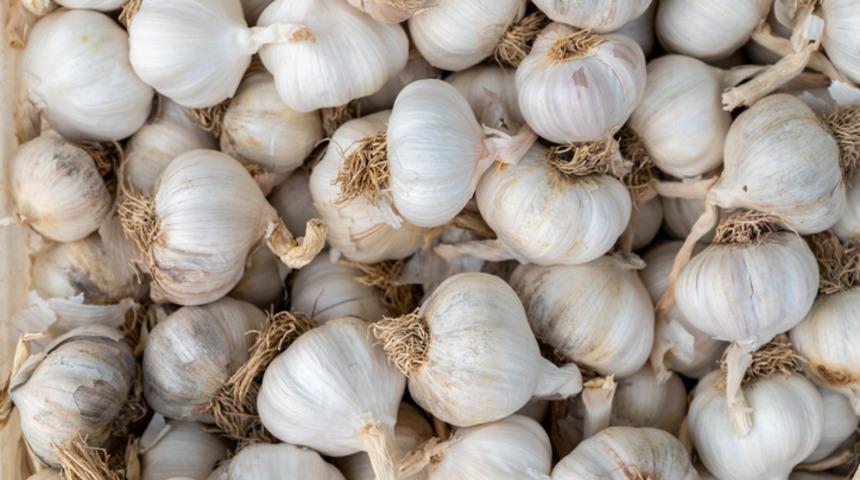 Tam bir şifa deposu! İşte sarımsağın 7 faydası...