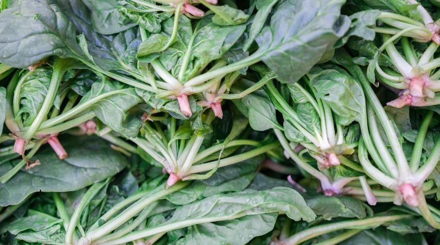 Ispanakta hastalık tehlikesi: Gıda zehirlenmesi riski! “Sakın tüketmeyin”