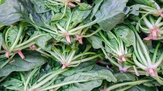 Ispanakta hastalık tehlikesi: Gıda zehirlenmesi riski! “Sakın tüketmeyin”