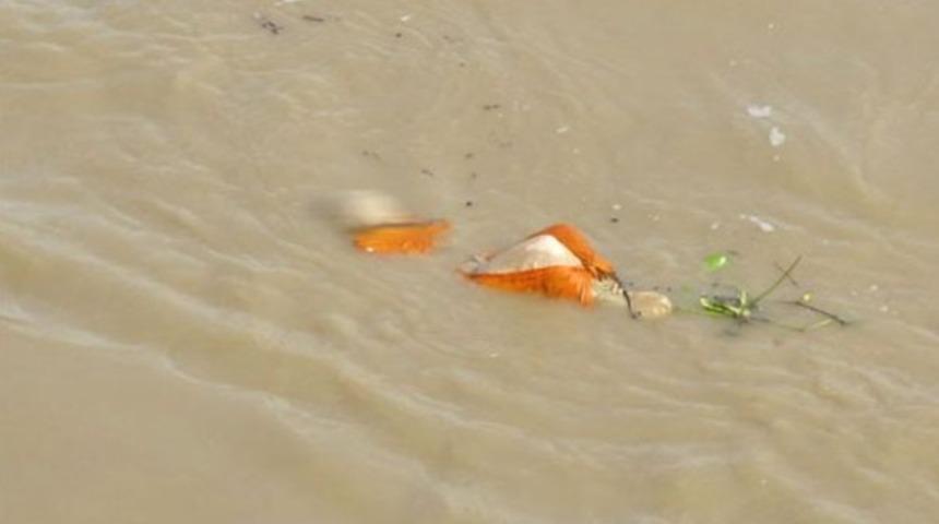 Nehirden 102 ceset çıkarıldı