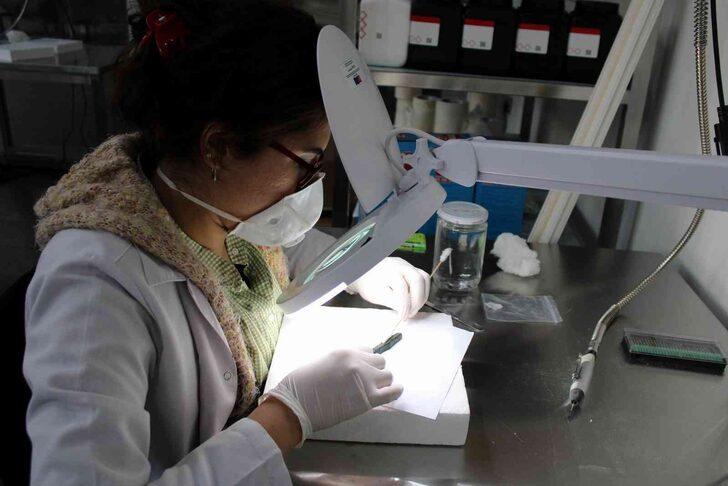 Kültepe eserleri depolardan çıkartılıyor! Müzeler için titiz çalışma başladı G2