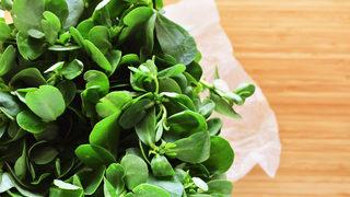 Diyet listelerinin favorisi semizotunu tüketmek için 7 sebep