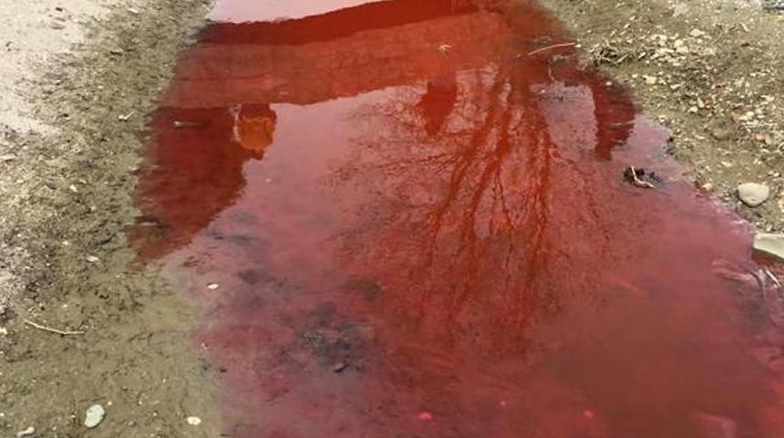 Kırmızı akan Kamara Deresi yetkilileri harekete geçirdi: İki ihtimal var