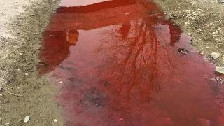 Kırmızı akan Kamara Deresi yetkilileri harekete geçirdi: İki ihtimal var