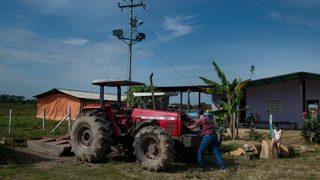 Venezuela'da Gıda Üretimi Kan Kaybediyor