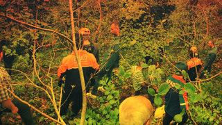 Yaşlı adam çay bahçesinde çalışırken... Kahreden olay!