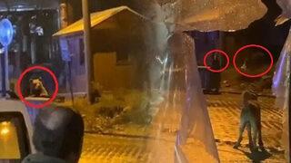 Tatilciler paniğe kapıldı! Böyle görüntülendiler 