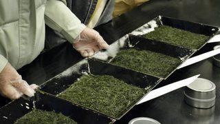 Bu çayın 1 kilosu 245 adet gram altın değerinde! 