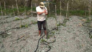 Yurt dışında gördü! Yetiştirmeye başladı! Yılda 300 bin TL...