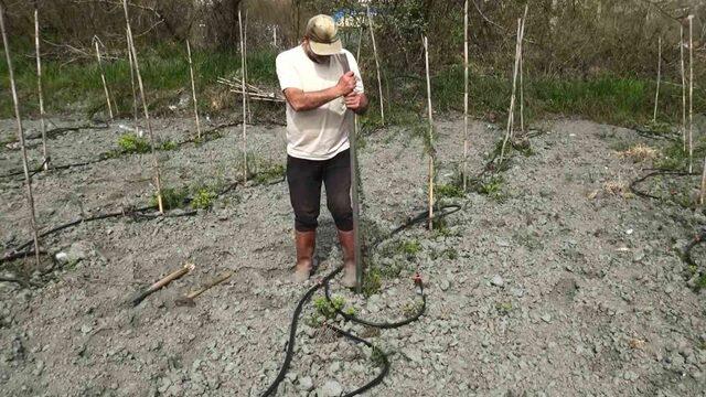 Yurt dışında gördü! Yetiştirmeye başladı! Yılda 300 bin TL...