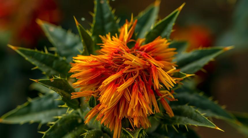 'Ekilmedik toprak bırakmayacağız' dedi! Kuru öksürüğü, gribal enfeksiyonu bıçak gibi keser... 