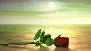 Peygamber Efendimizin doğum günü ne zaman? Kutlu doğum haftası nedir? Kutlu doğum haftası ne zaman?