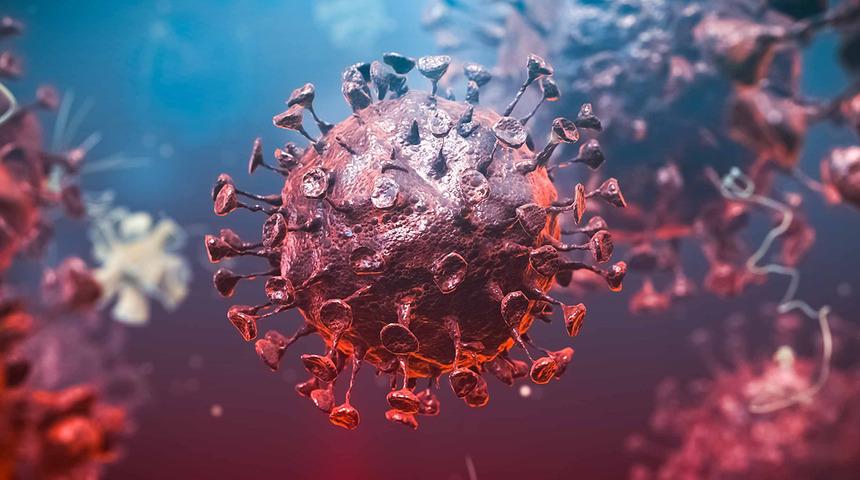 Gizemli hepatit virüsü paniği! Bir ülkede daha görüldü