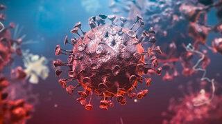 Gizemli hepatit virüsü paniği! Bir ülkede daha görüldü