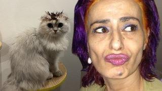 Yıldız Tilbe kedisinin tüylerini boyadı! Sosyal medya yıkıldı