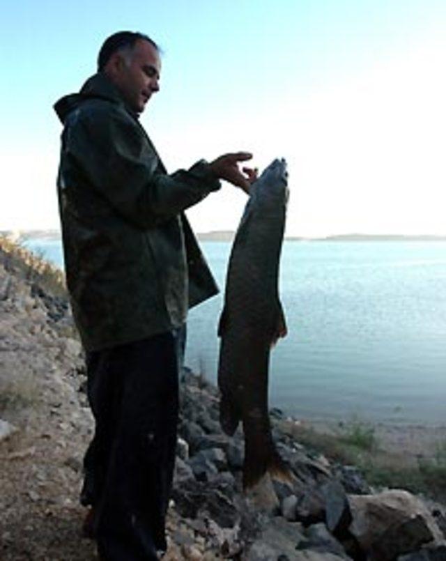 Bu balık sadece Fırat ta yaşıyor 1