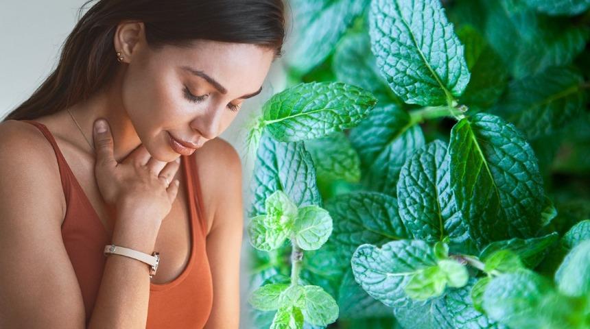 Bilinenin aksine reflüye hiç iyi gelmiyor! Hatta daha da kötü yapıyor: Sindirim sisteminin düşmanı 