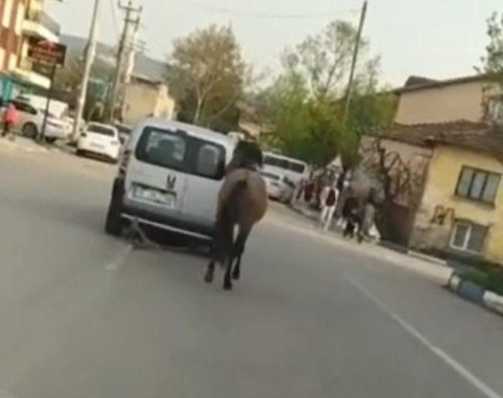 Görüntüler sosyal medyada tepki çekti! Atı arabaya bağlayıp böyle götürdü