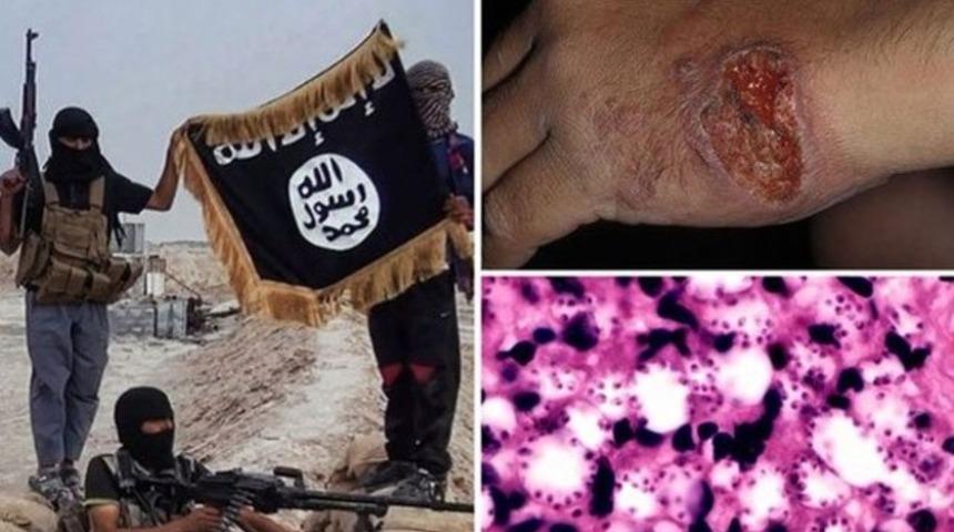 IŞİD'e 'şark &ccedil;ıbanı' teşhisi