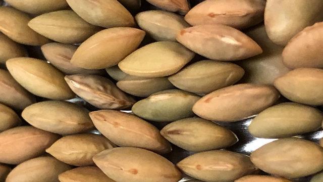 Yorgunluğu alır, enerji verir, metabolizmayı hızlandırır... Antioksidan kaynağı!