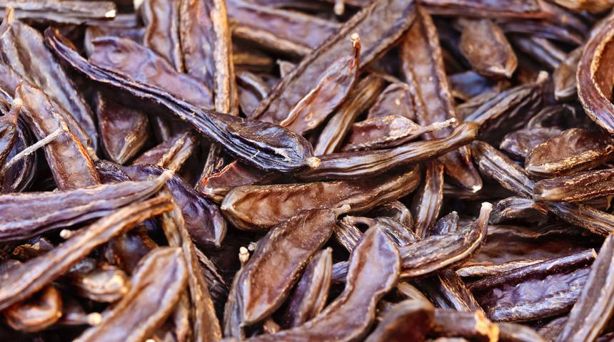 Gördüğünüz yerde toplayın: Cinsel gücü artırır, kanı temizler, direnci artırır, enerji verir! Doğal antibiyotik keçiboynuzunun etkileyici faydaları