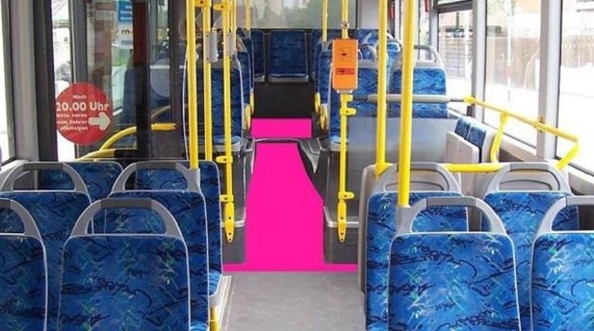 Almanya'da haremlik-selamlık tartışması