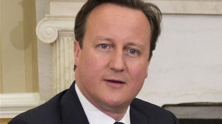 David Cameron: 'T&uuml;rklere hakaret olur'