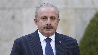 TBMM Başkanı Şentop'tan HDP'li Paylan'ın yasa teklifine sert tepki! 'Türkiye dışından bir desteğin cesareti olabilir'
