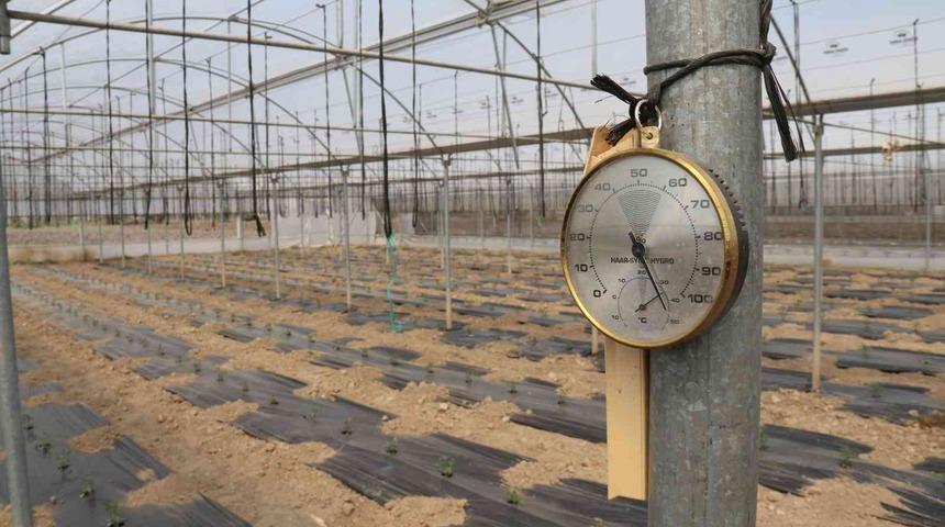 Ucuz sebze için tarih verildi! 15 güne kadar...