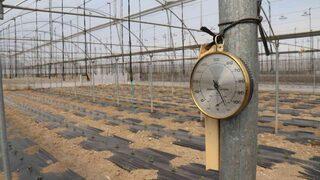 Ucuz sebze için tarih verildi! 15 güne kadar...