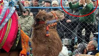 80 milyonluk vurgunda flaş gelişme! 'Süperstar' Alev'in develerine el koyuldu…