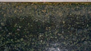 Uyarılarda bulunulmuştu! Müsilaj kabusu geri mi dönüyor? 