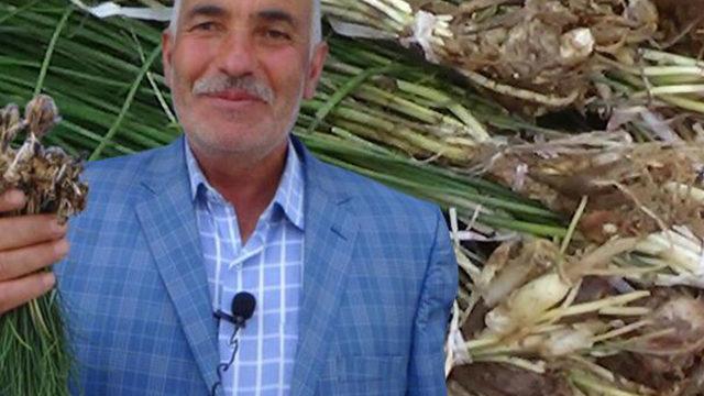 Yetişmesini zor bekliyorlar! Kilosu bin TL ama yok satıyor! Onlarca hastalığa şifa