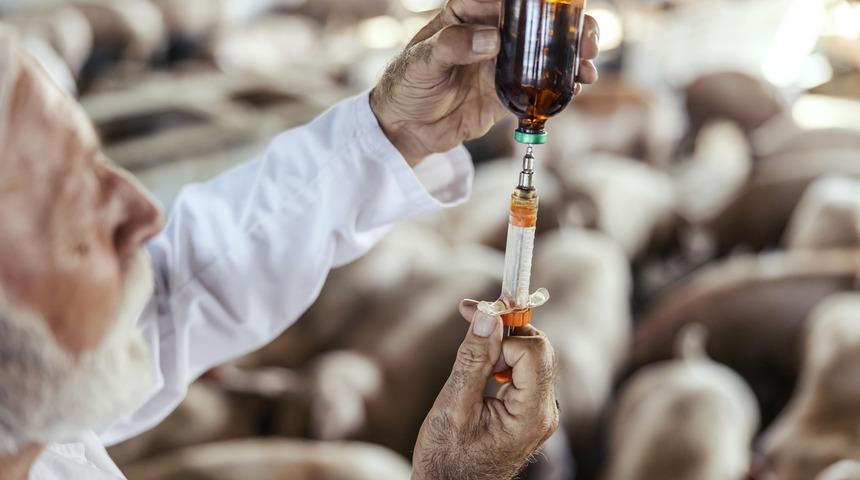 Antibiyotiklere dirençli süper bakterinin insanlara geçmesi an meselesi