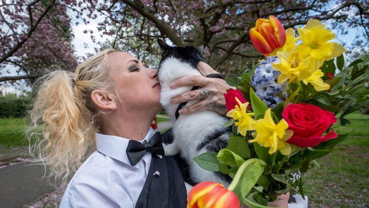 Sosyal medya bu düğünü konuşuyor! Ev sahibinin kedisini kabul etmesi için evlendi G1