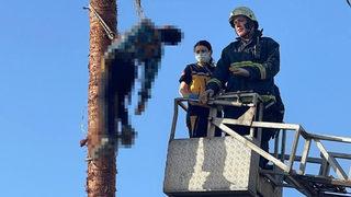 Budamaya çıktığı ağaçta hayatını kaybetti! Korkunç görüntü