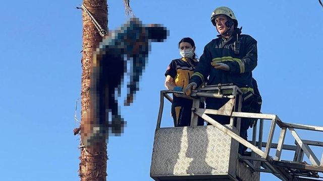 Budamaya çıktığı ağaçta hayatını kaybetti! Korkunç görüntü